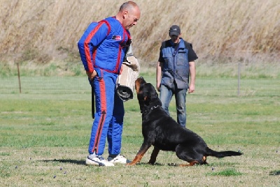 Vom hause man - CHAMPIONNAT DE FRANCE DU GROUPE DU TRAVAIL DU ROTTWEILER