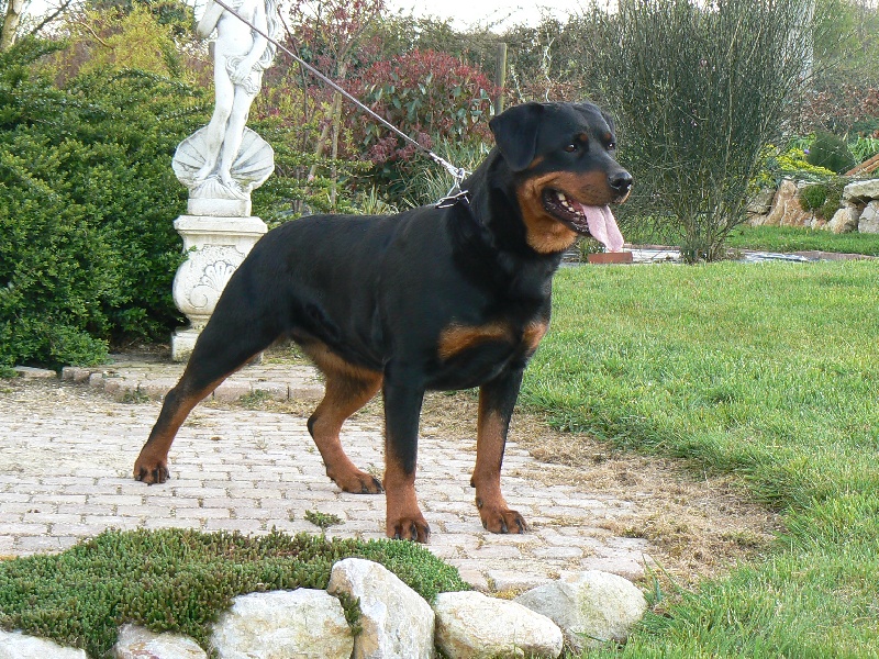 Aika Vom hause man